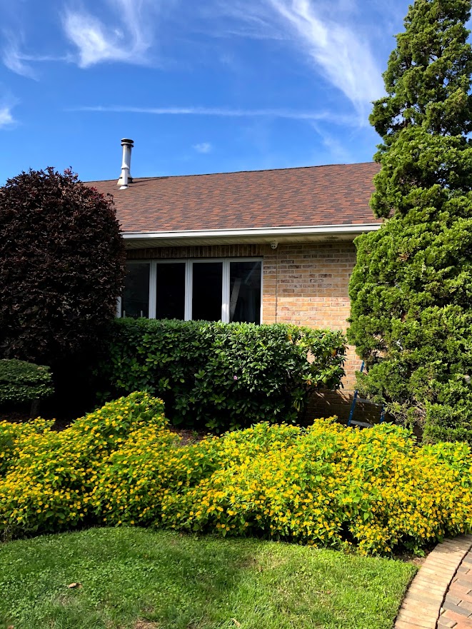 Tech Vision NY installation photo 82